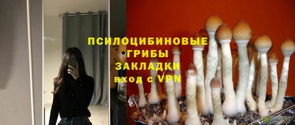 мет Зеленодольск