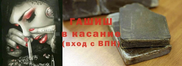 СК Зерноград