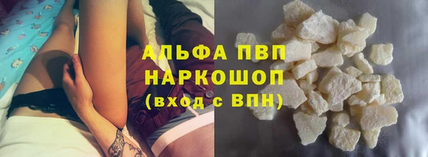 СК Зерноград