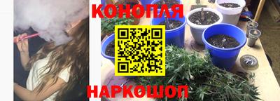PSILOCYBIN Заволжье