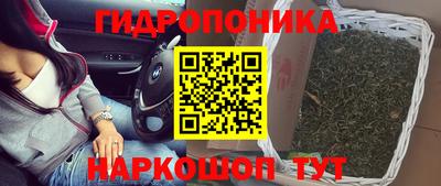 PSILOCYBIN Заволжье