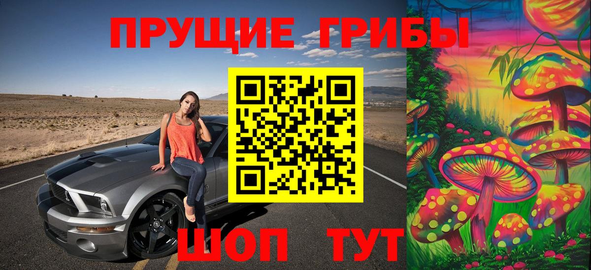 Галлюциногенные грибы Cubensis  Вход с VPN  Кингисепп 