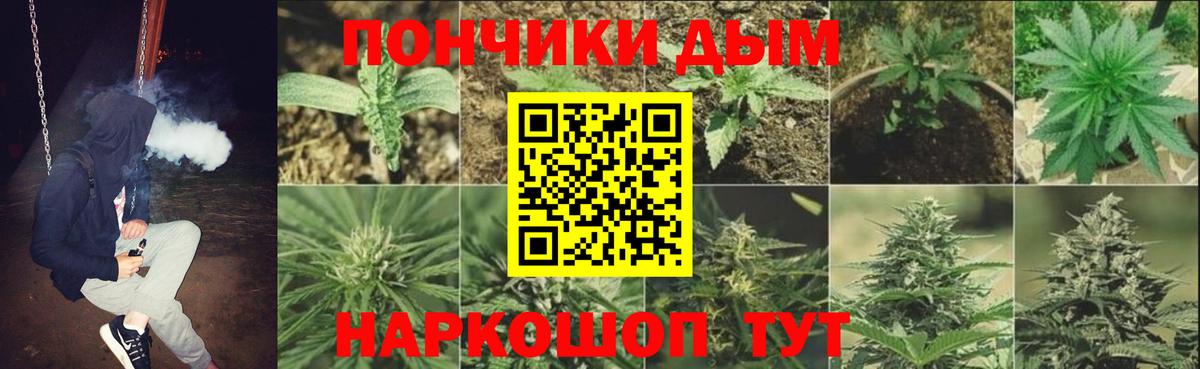 Конопля SATIVA & INDICA Кингисепп